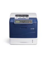 Xerox Phaser 4600N, impresora, blanco y negro, A4 (4600V_N)